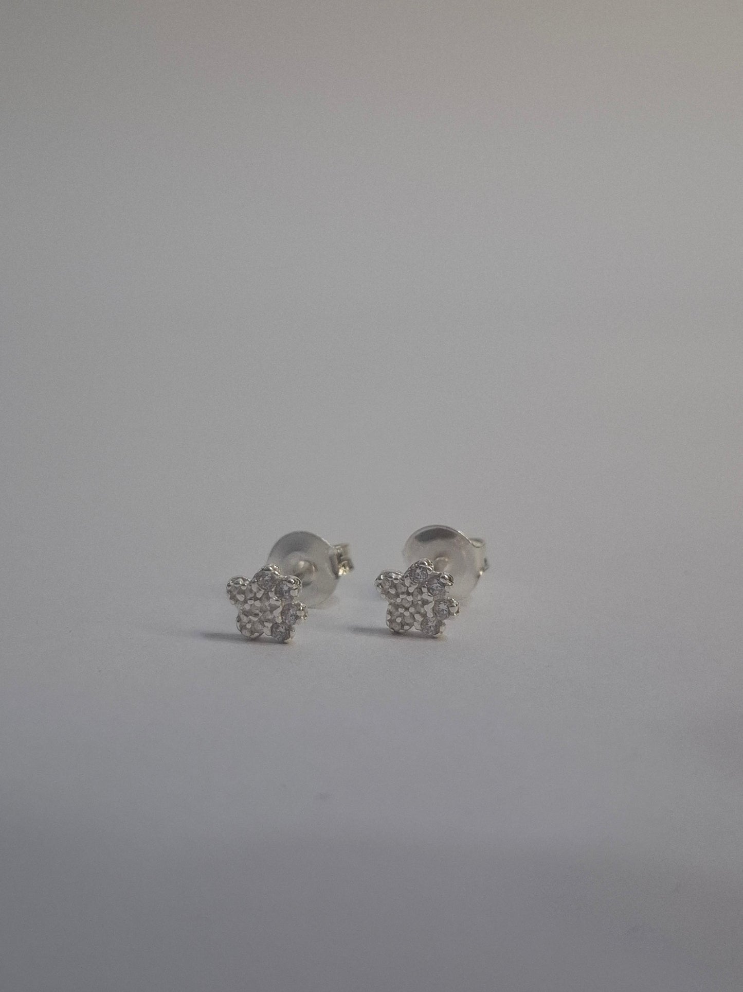 Brinco Patinha Prata 925