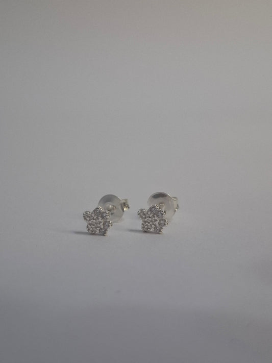 Brinco Patinha Prata 925